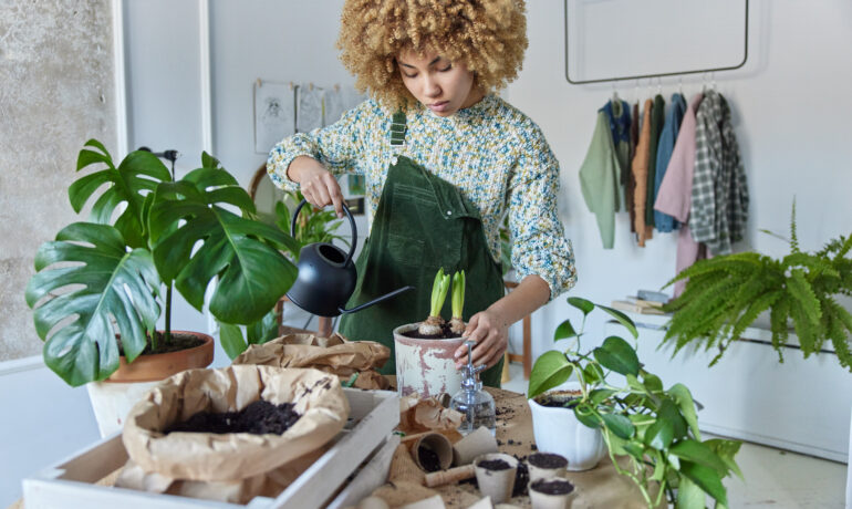 Jardinage et entretien de jardin à Agen