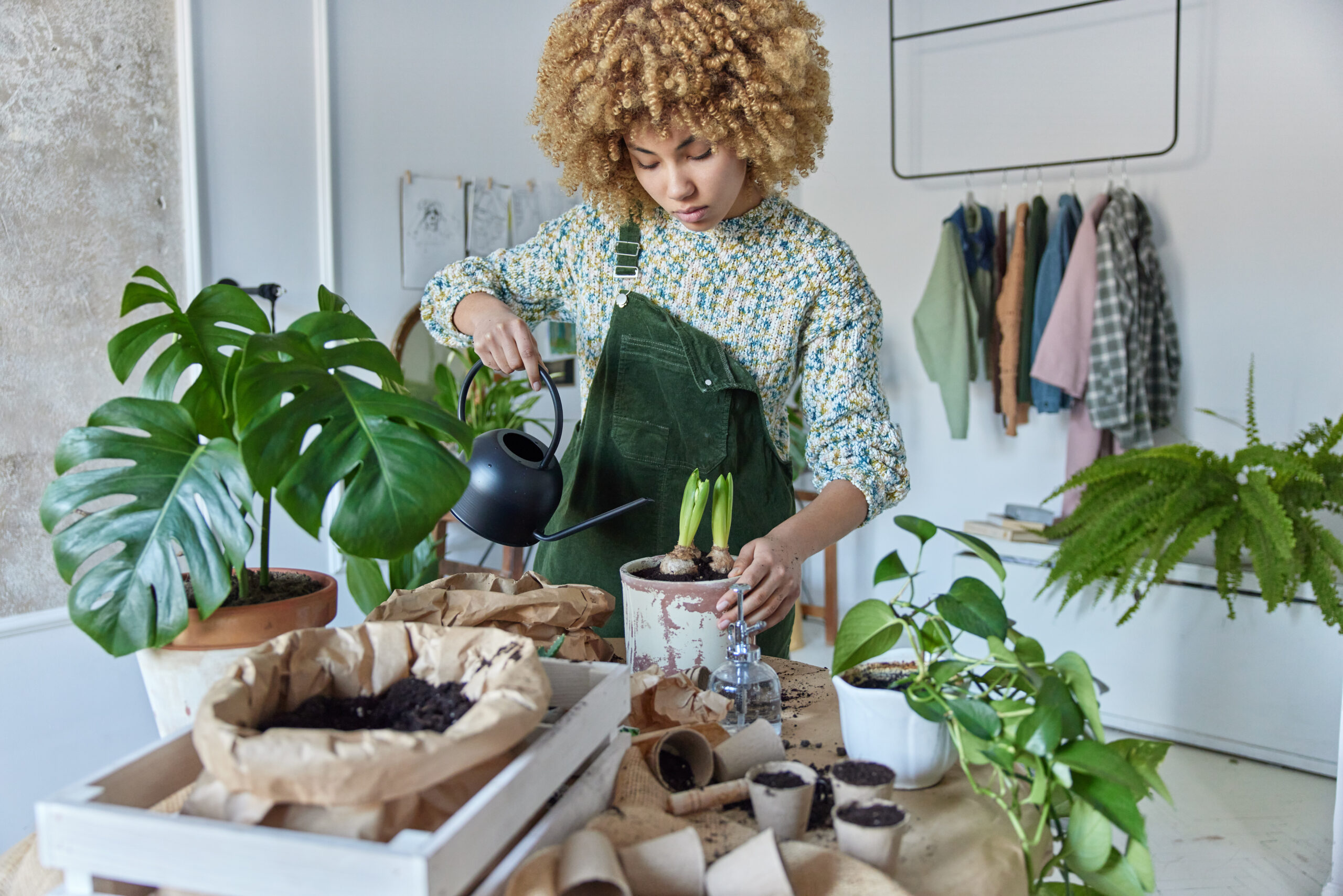 Jardinage et entretien de jardin à Agen